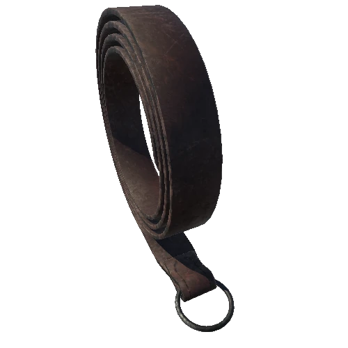 Iron_Ring_Belt_2 (1)1